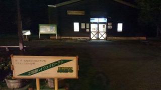 ほぼトイレのみ