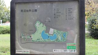 自然を生かした公園