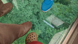 のんびりまったりとロープウェイでトリップ