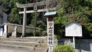 静かに見学できて良かったです。