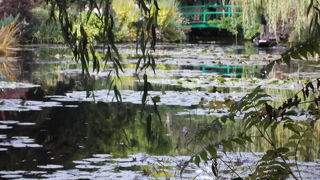 モネの池に行きたくて。