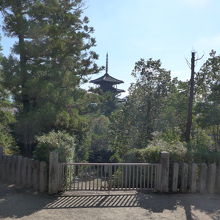 西円堂から五重塔を望む