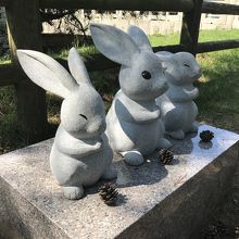 参道に時々出現するウサギに癒される