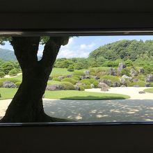 PRに良く使われるこのアングル。生で見るとやはりいい