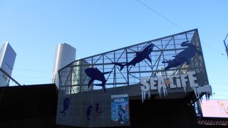 街中にある小さな水族館