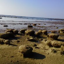 トンネルを抜けると海岸