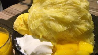 やっぱりいくべし