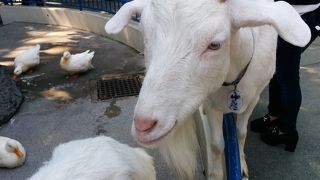 モンキーゾーンがオススメ