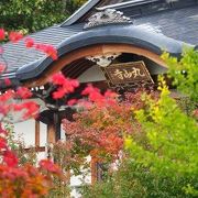 紅葉の寺なんですけど誰も振り向かないのが不思議