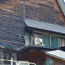 屋根でたたずむお猿さん