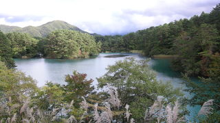 五色沼中最大の沼