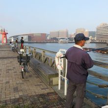 桟橋を囲む赤灯台と白灯台近辺は釣りのスポット