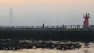 唐戸桟橋の周囲は釣り人がいる