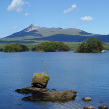 沼にも溶岩の塊が残っています。
