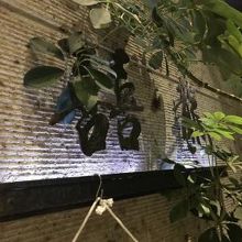 入口は高級感があります。