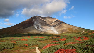 大雪山の雄大さを初心者が体感できるおすすめコース