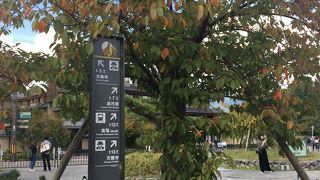 混んでいました。