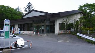 バス待ちに自然学習を