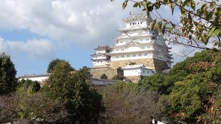 こんなに褒めても良いのかな～