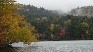 晴れの日がお勧め