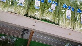 ほうれん草が売られていました