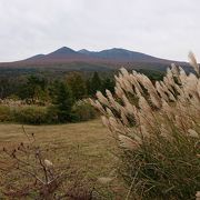 八甲田の絶景スポット