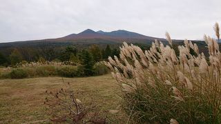 八甲田の絶景スポット