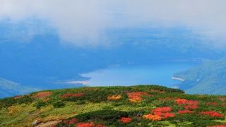 道道を選んで上がって行くのがオススメ