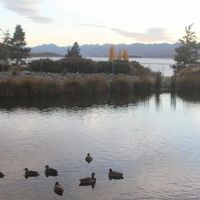 本館棟から池越しに見える｢テカポ湖｣ 