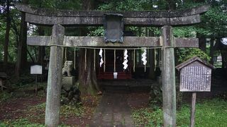 田母沢御用邸の向かい側