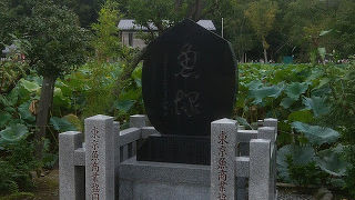 フグとは別にある魚塚