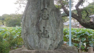 何かの植物の棚下に設置されています。