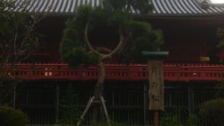 どの季節でも変わらぬ姿