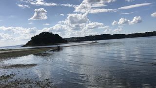 ヴィーナスロードに行きました