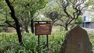 梅の花が咲く時期にも来てみたい