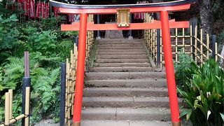 芝丸山古墳の上にある