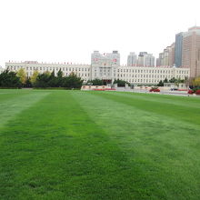 芝生が綺麗です。