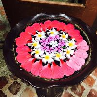 飾ってあった花びら。