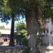 登山前に神社へ