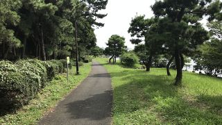 秋のハゼ釣りは楽しい