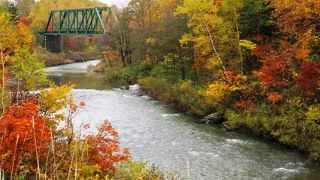 美しい風景は「レッテル」で決められるものじゃなかった