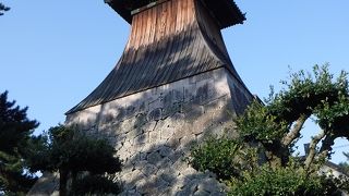 間近で見るとかなり大きい