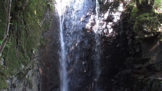 永平寺川に注いでいます