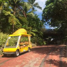 カートに乗り込みます♪