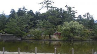 鏡度は低かったかな？