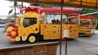 カートに乗ってワクワク体験♪