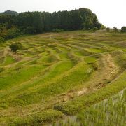 こんな近くに棚田が!!大山千枚田