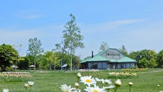 ロケーション最高！ ハンガリー料理のランチビュッフェ お勧めです