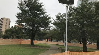 緑もあって、居心地がいい公園