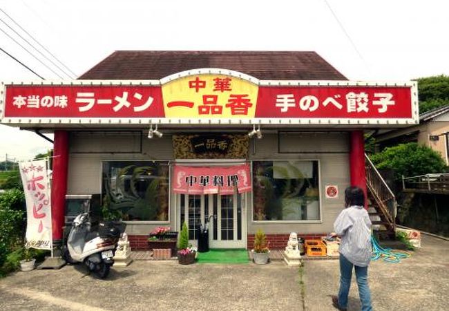 一品香（いっぴんこう）の昼食　三島市佐野体験農園　２条の畝立て　キュウリ、ナス、サンチュの収穫